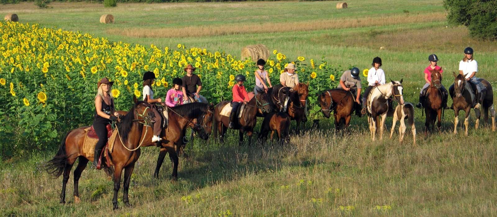 horse riding