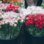 flora gruz flower market
