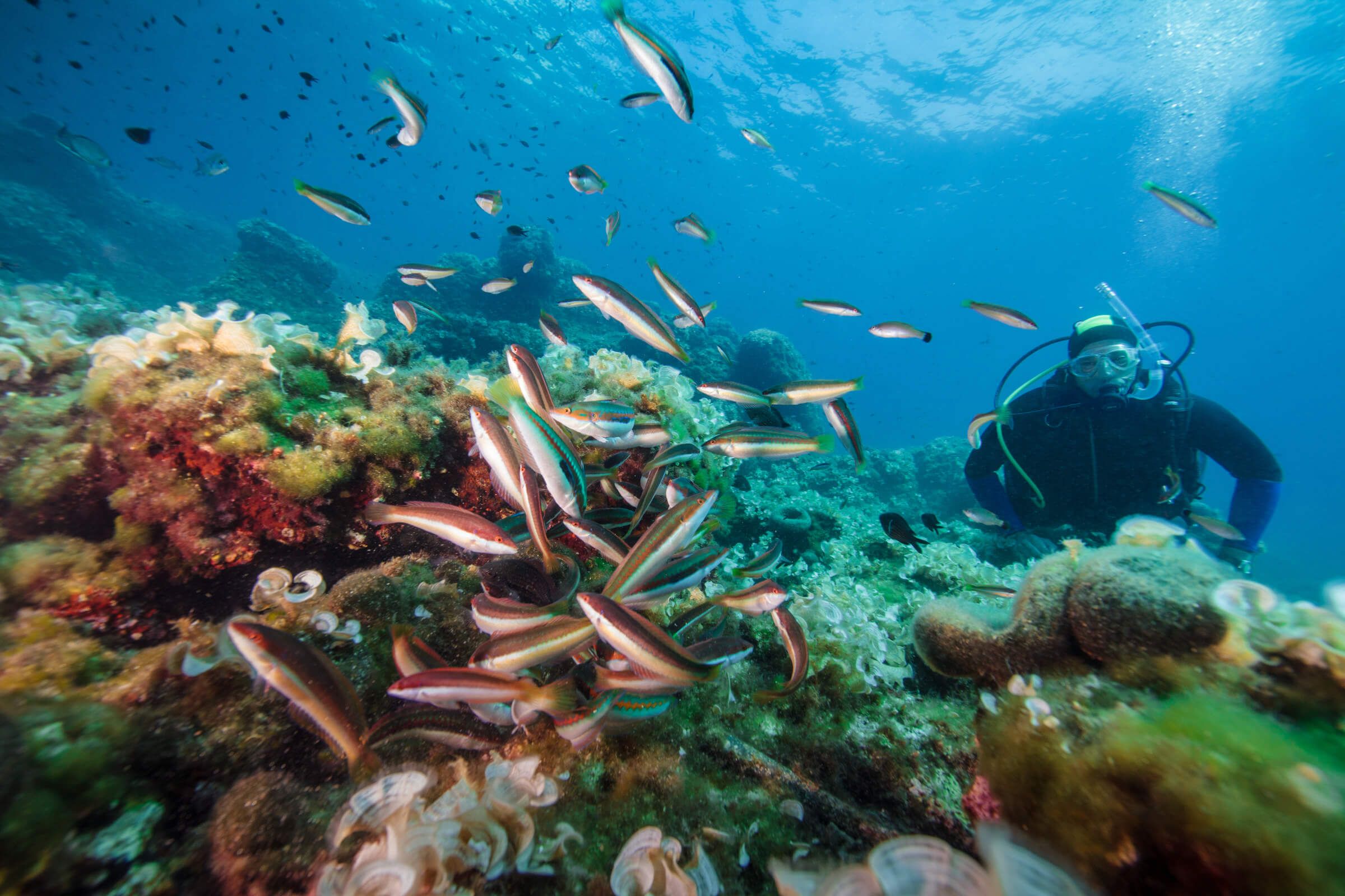 sailing in Croatia, dive 2.jpg