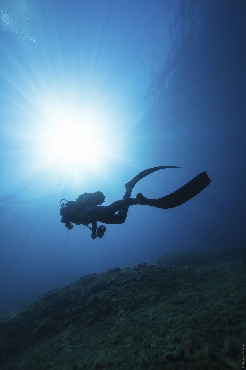 diving 2.jpg
