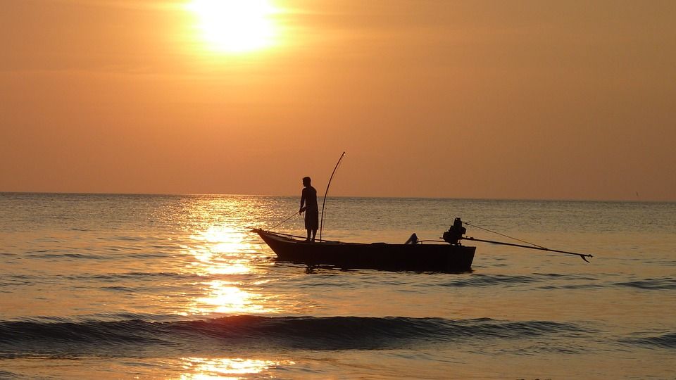 fishing-at-sunset-209112_960_720.jpg