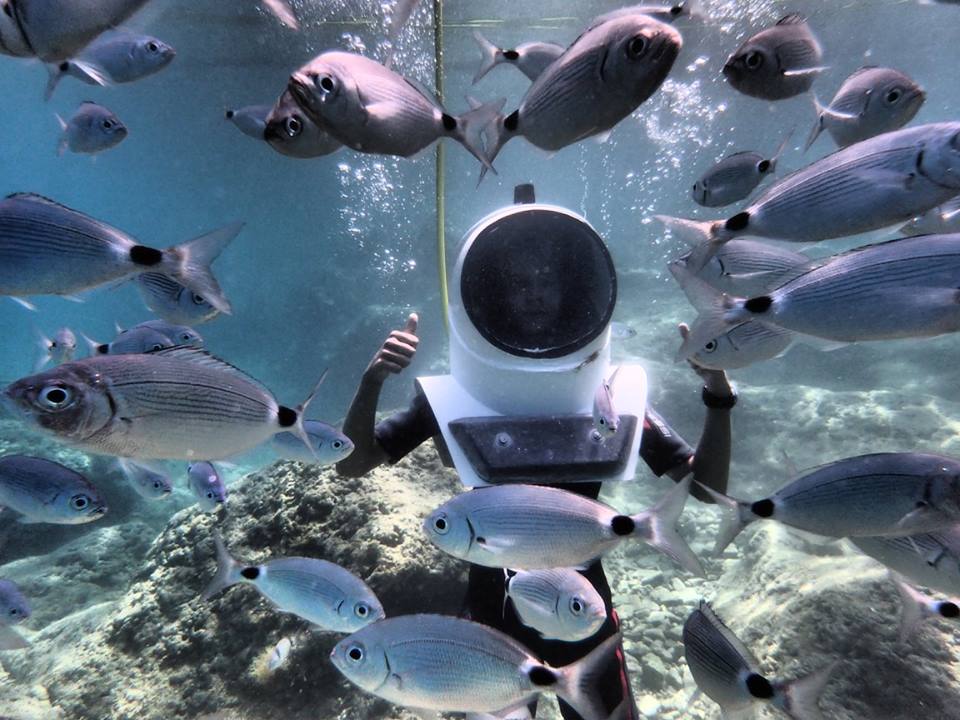 underwater park verudelea.jpg