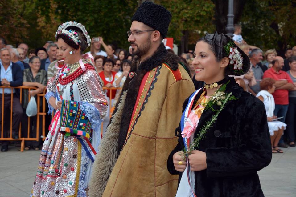 Vinkovci Autumns: Incredible Heritage of Slavonia (Photos) - Total Croatia