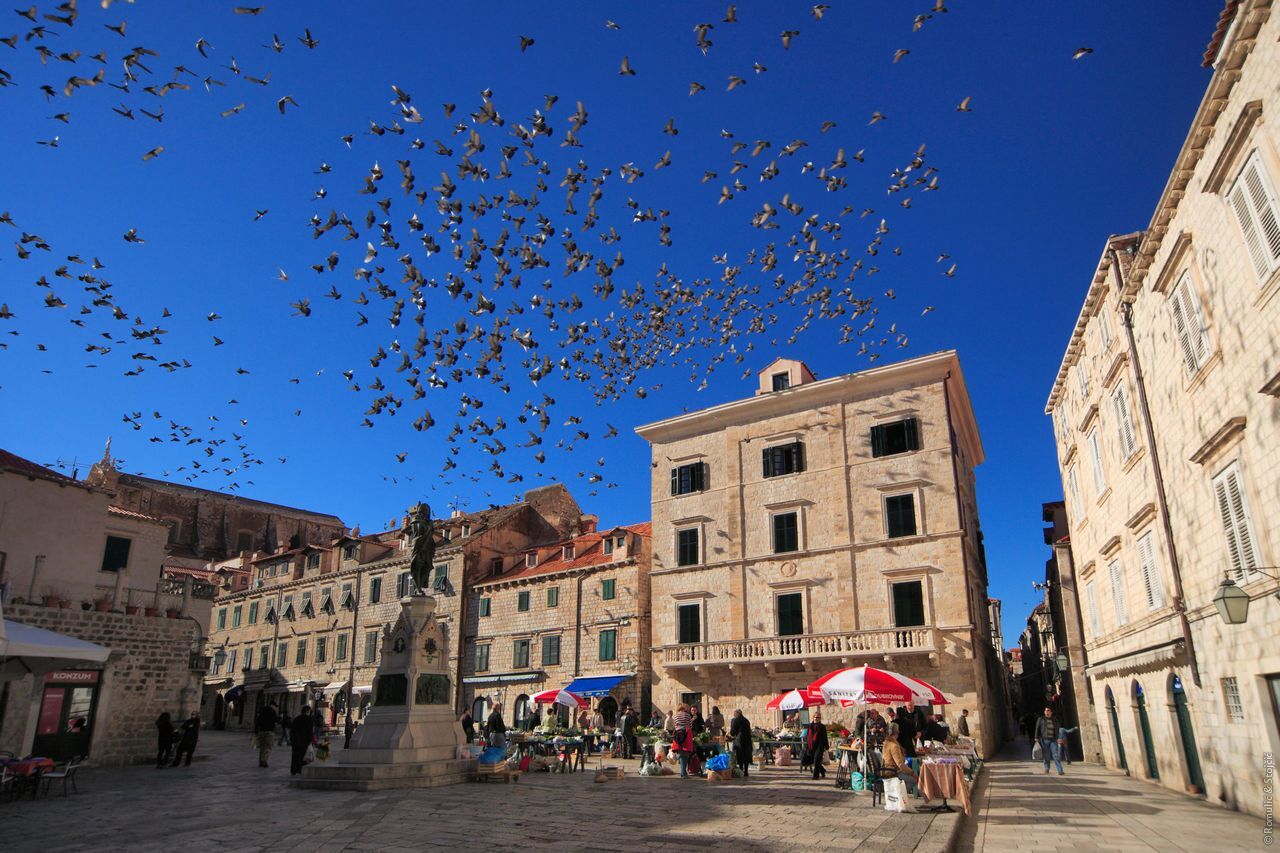 Croatia_Dalmatia_Dubrovnik_0920_Gundulic%20Squere_preview.jpeg.jpg