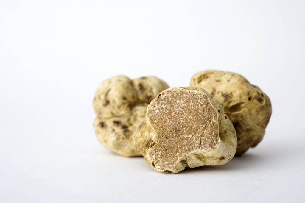 White-truffle-pic.jpg