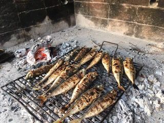 grilled fish dalmatian.jpeg