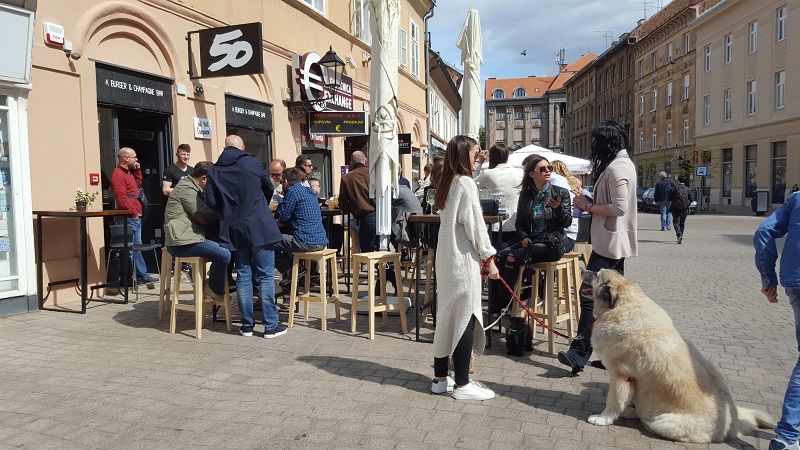 outdoor seating - dog friendly.jpg