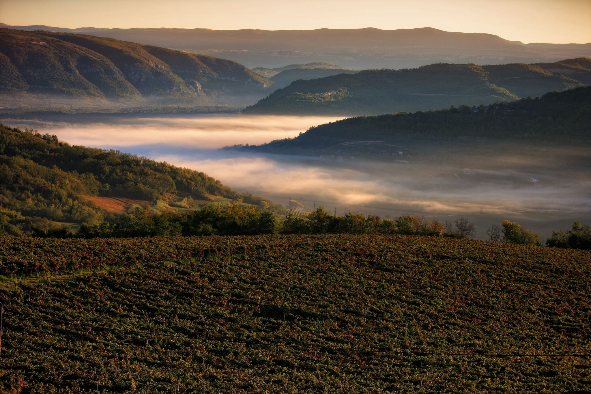 Istra_Motovun0105_preview.jpeg