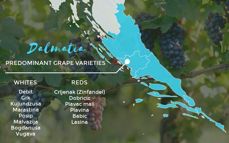 Croatian Wine Dalmatia 2