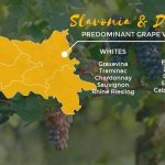 Croatian wines Slavonia