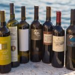 Wine tasting vina iz Dalmacije.jpg