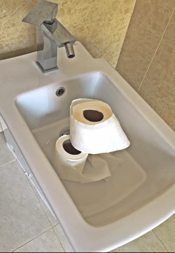 toilet-paper.PNG