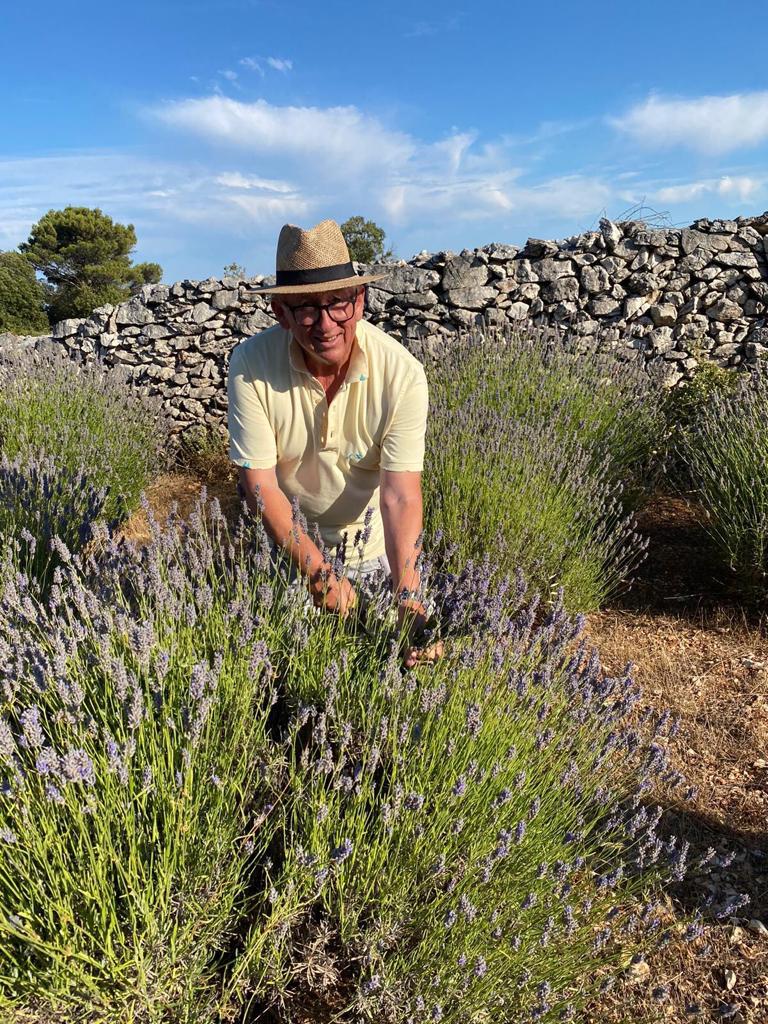 harvesting-lavender-jadran-lazic (3).jpg