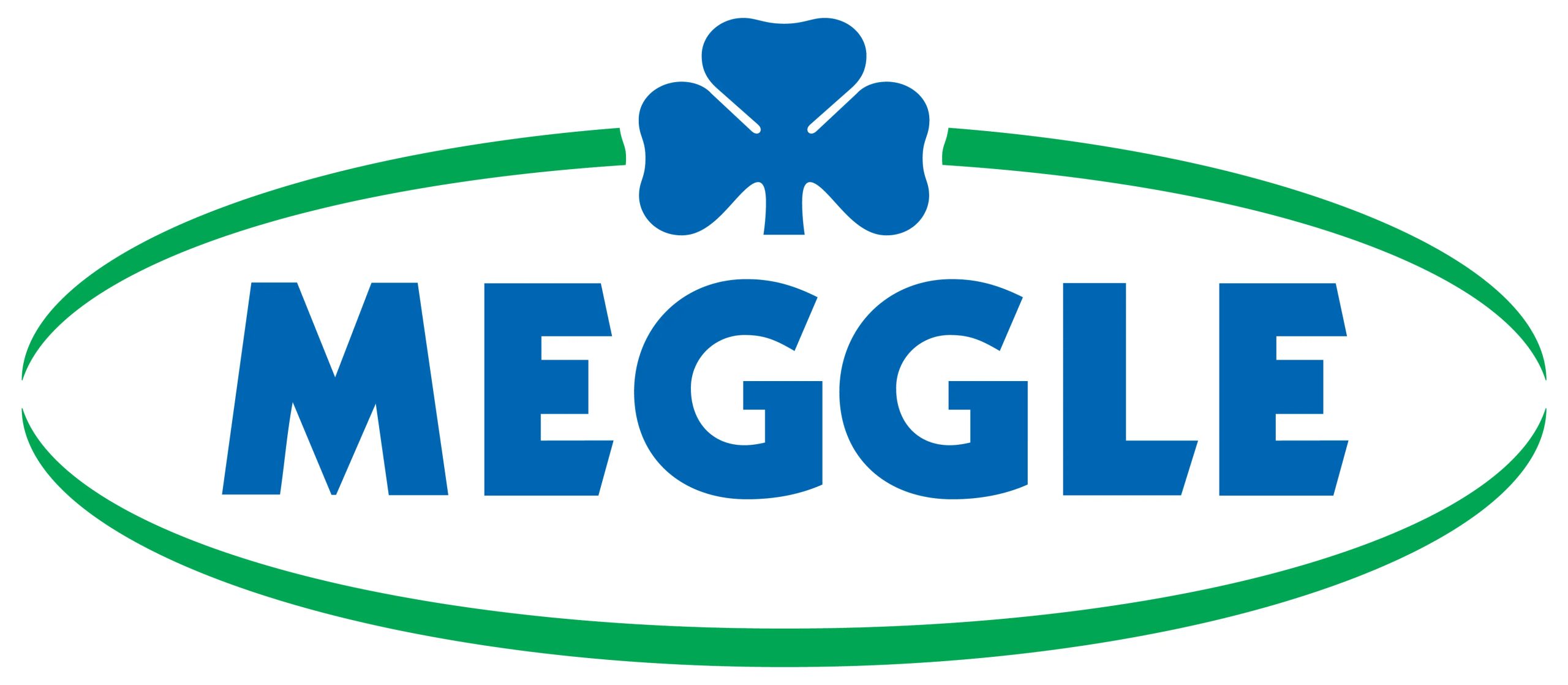 Facebook profile of Meggle Company