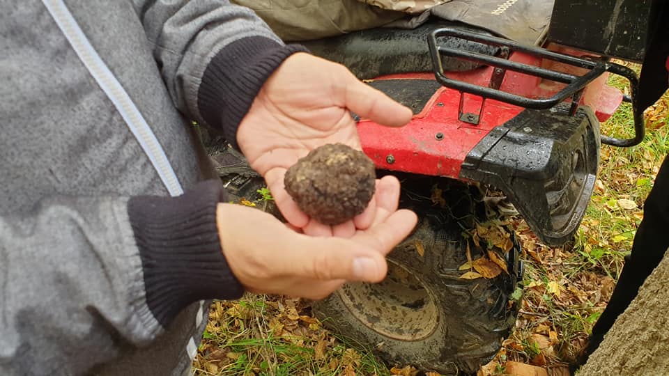 zagreb-truffles (14).jpg