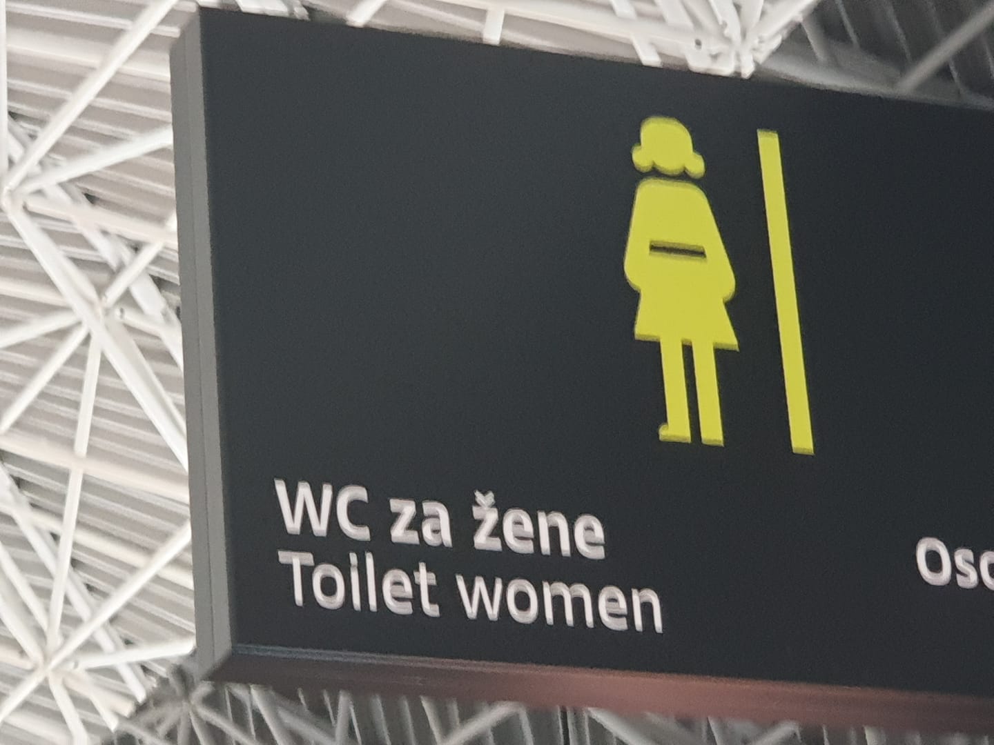 zagreb-airport-toilet-disabled (2).jpg