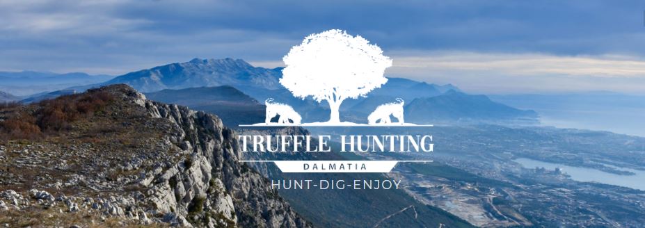 truffle-hunting-dalmatia-5.JPG