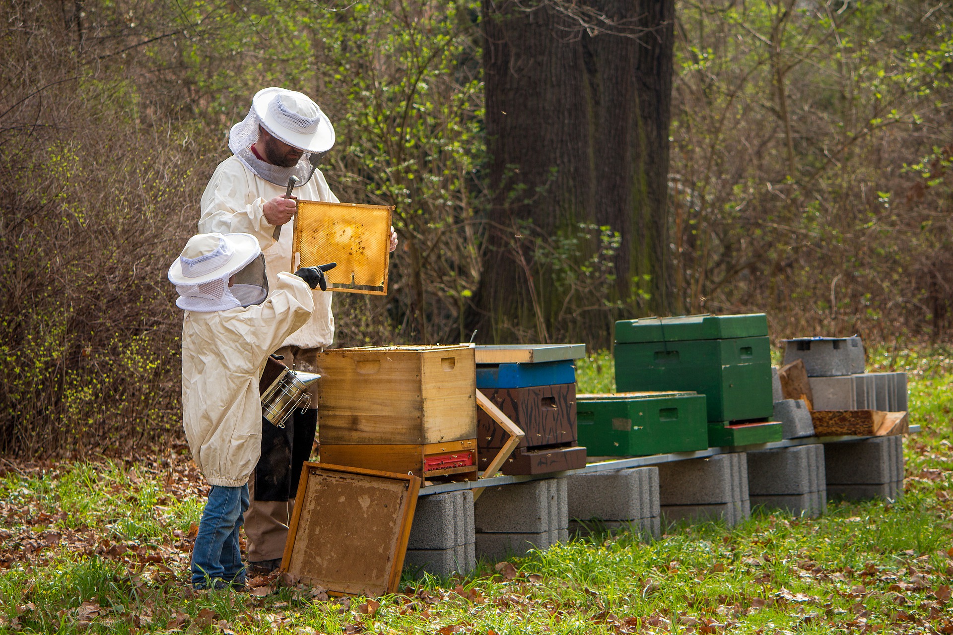beekeeper-4426003_1920.jpg