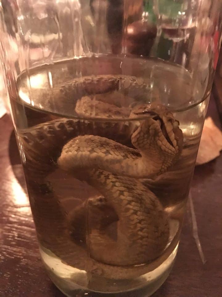 rakija snake