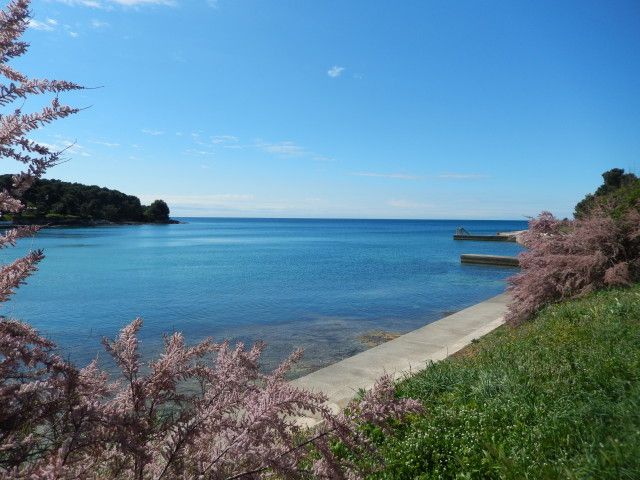 Valkane beach in Pula.