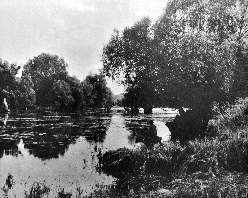 The water almost reaches the tree branches. This high level is not uncommon in the wetlands and was the best time for fishing