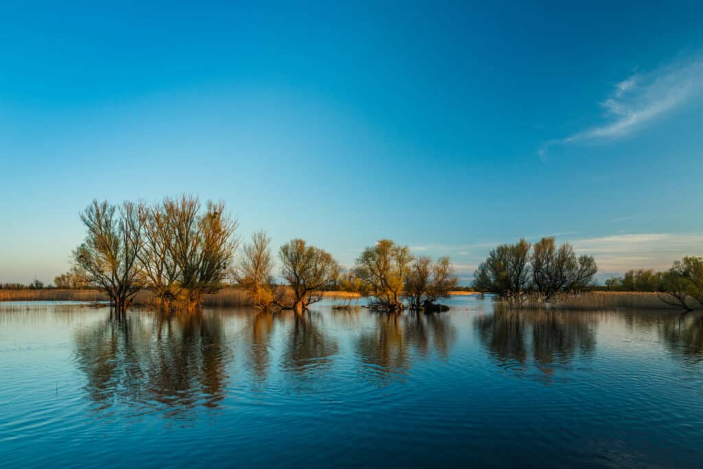 Peak flood of Kopački rit © Mario Romulić.