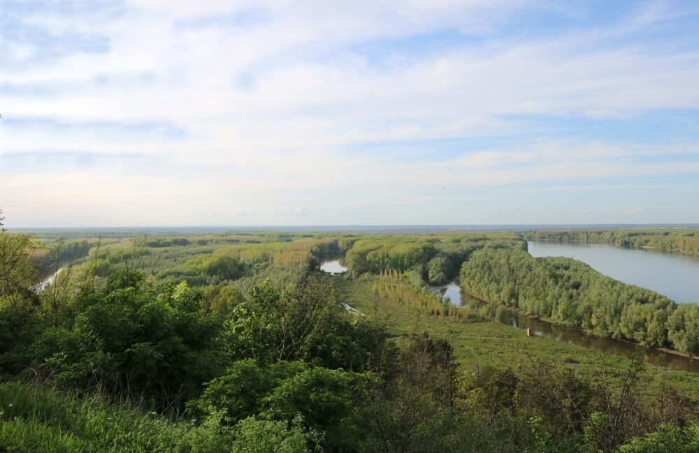 The Danube river winding around Erdut