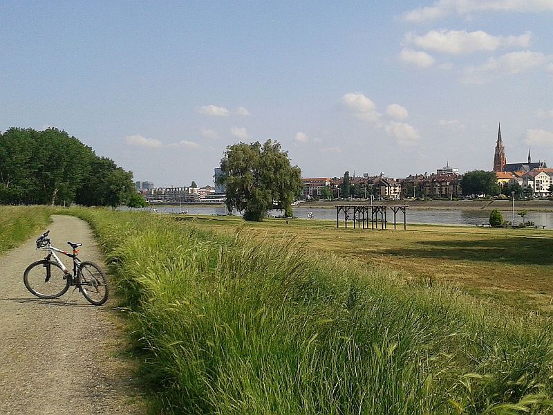 A cycle path by the Drava