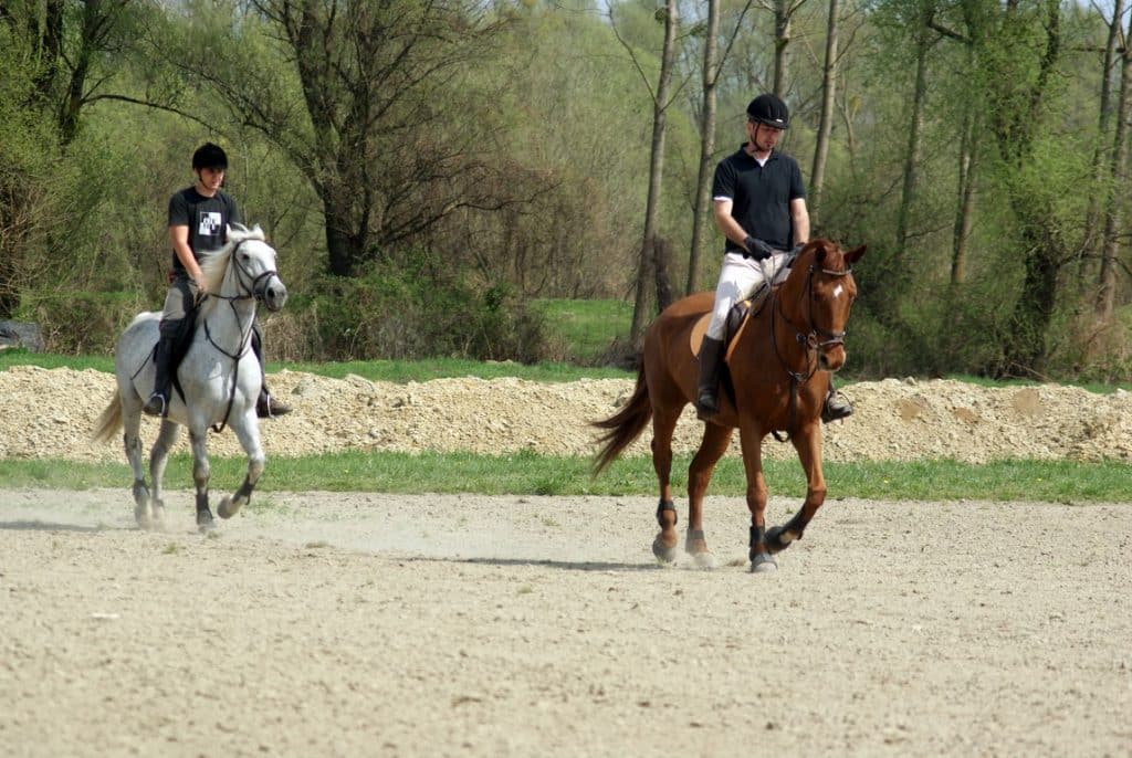 Dunavski Raj Equestrian Club