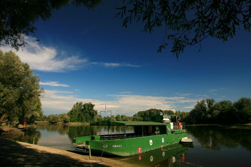 Large boat tour in Kopački rit