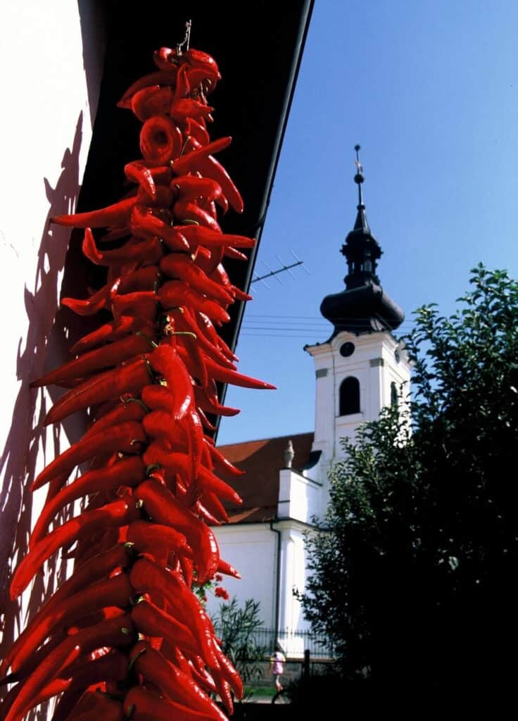 Reformed Christian Church in Kopačevo and paprika