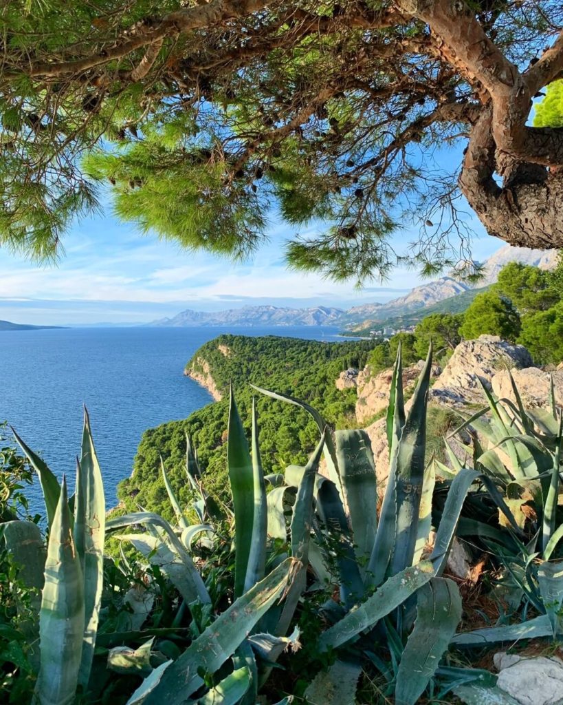 View from Osejava Forest Park