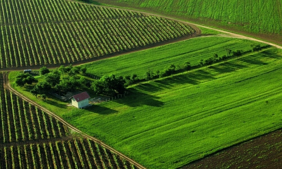 Life in harmony with the natural landscape of Baranja