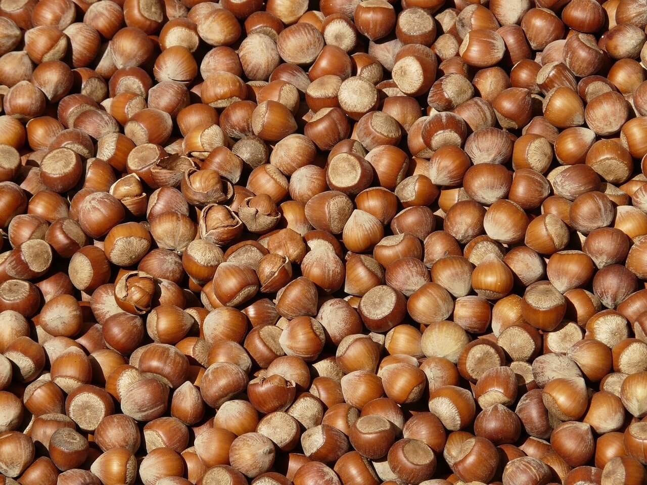 hazelnuts.jpg