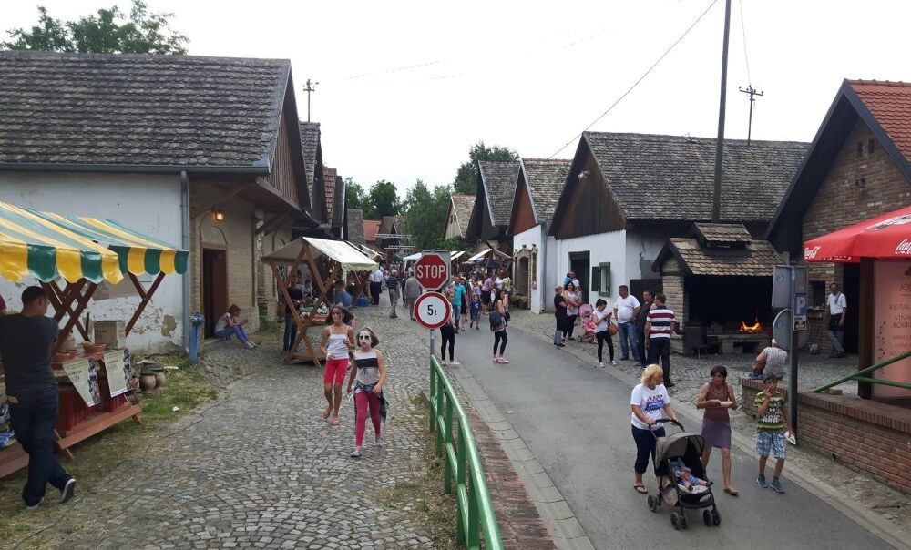 People enjoying an event outside the Gator cellars