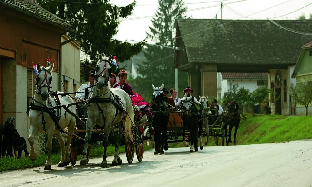 horse-drawn carts and traditional dress in Suza, Baranja