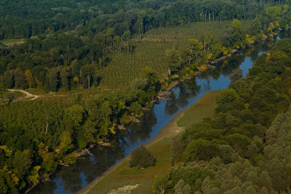 The Danube in Zmajevac, Baranja