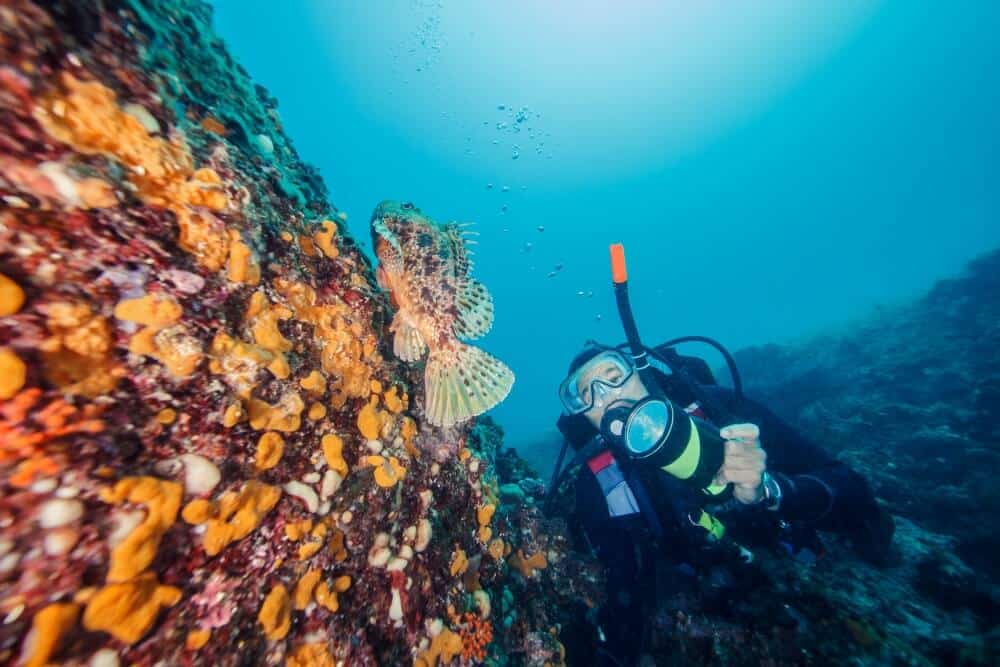 Diving and snorkeling on Brijuni