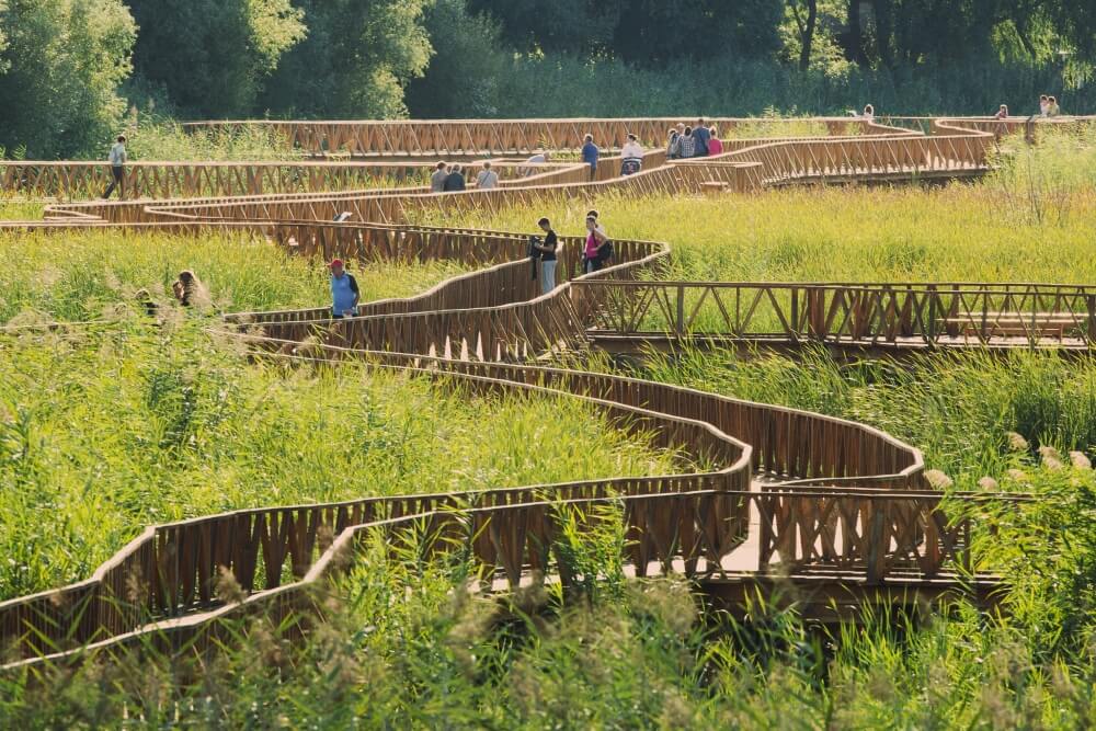 White Water-Lily boardwalk, Kopački rit © Mario Romulić.