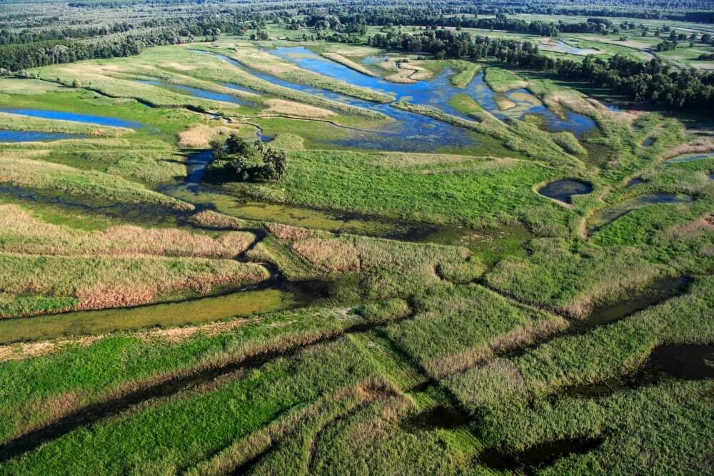 From above, Kopački rit © Mario Romulić.