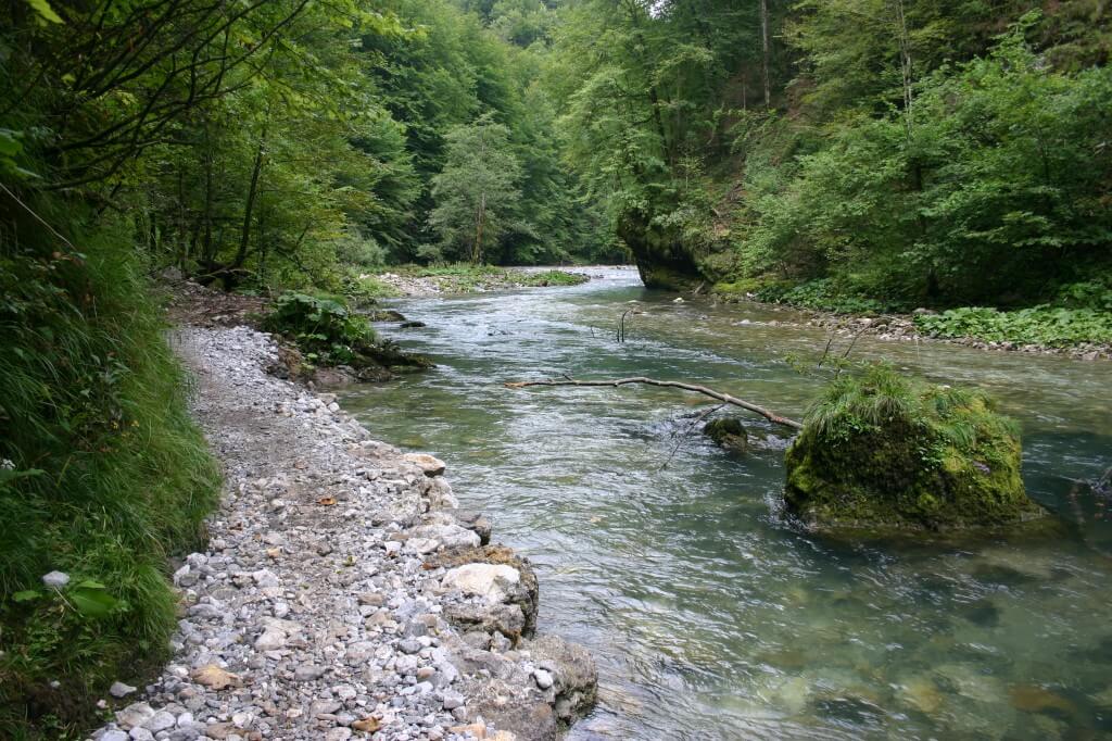 The Kupa in Risnjak National Park