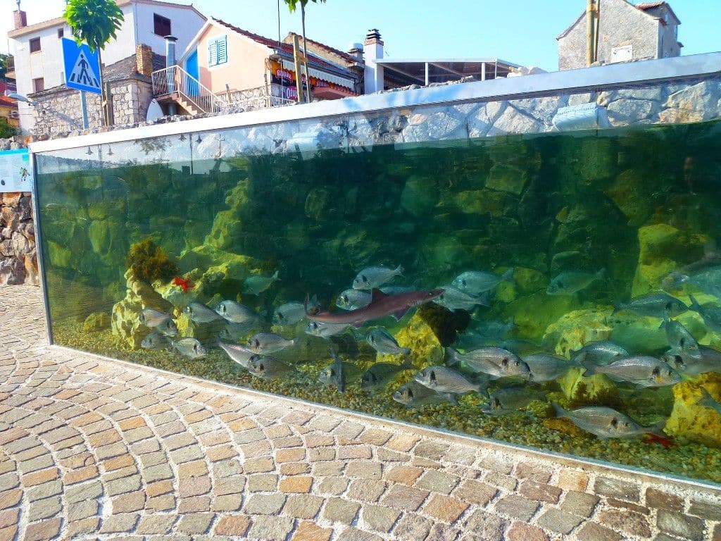 Things to do in Rogoznica: street aquarium