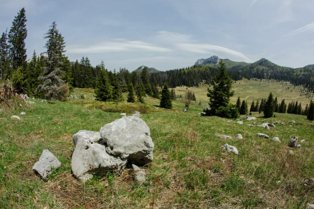 Course ground in North Velebit National Park