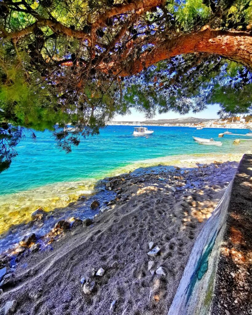 From beneath the shade of trees, a Rogoznica beach view