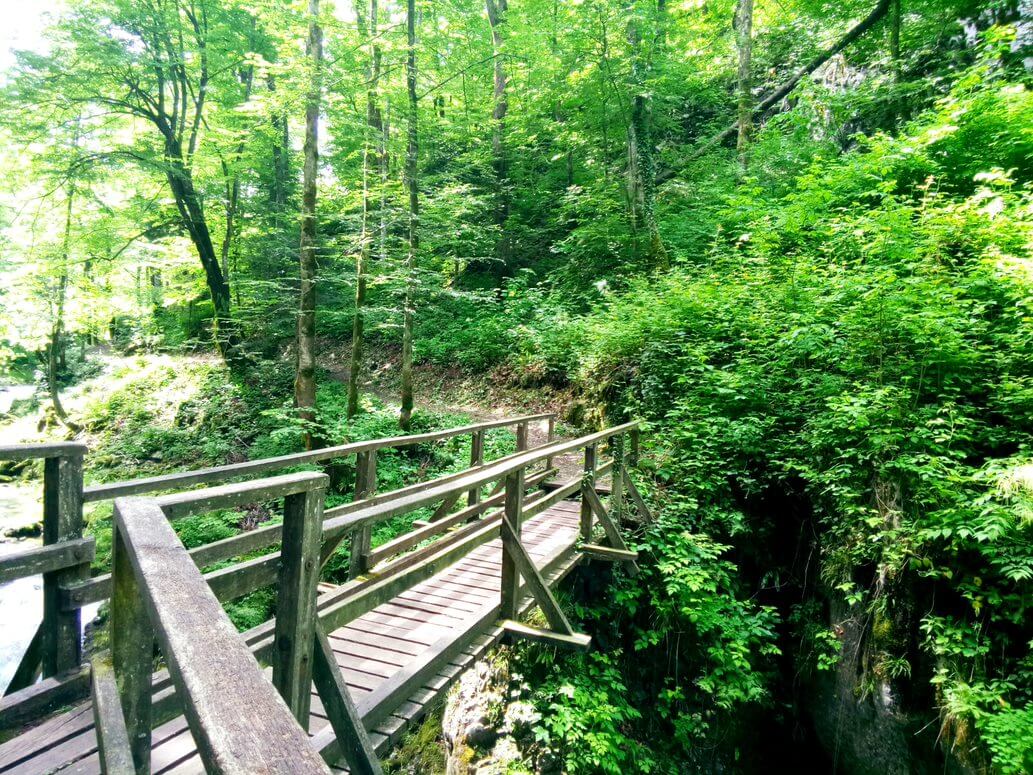 20_-_Karlovac_-_Kamačnik_river_canyon.jpg