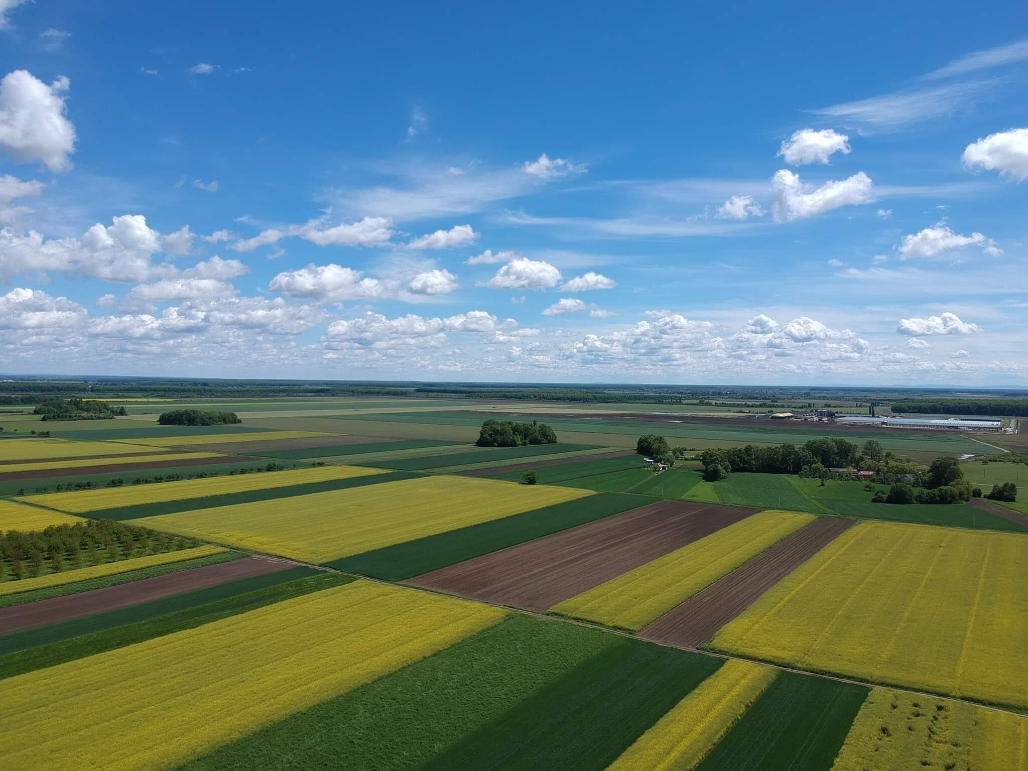 Ivankovo.info_-_Ivankovo_iz_zraka_oranice.jpg