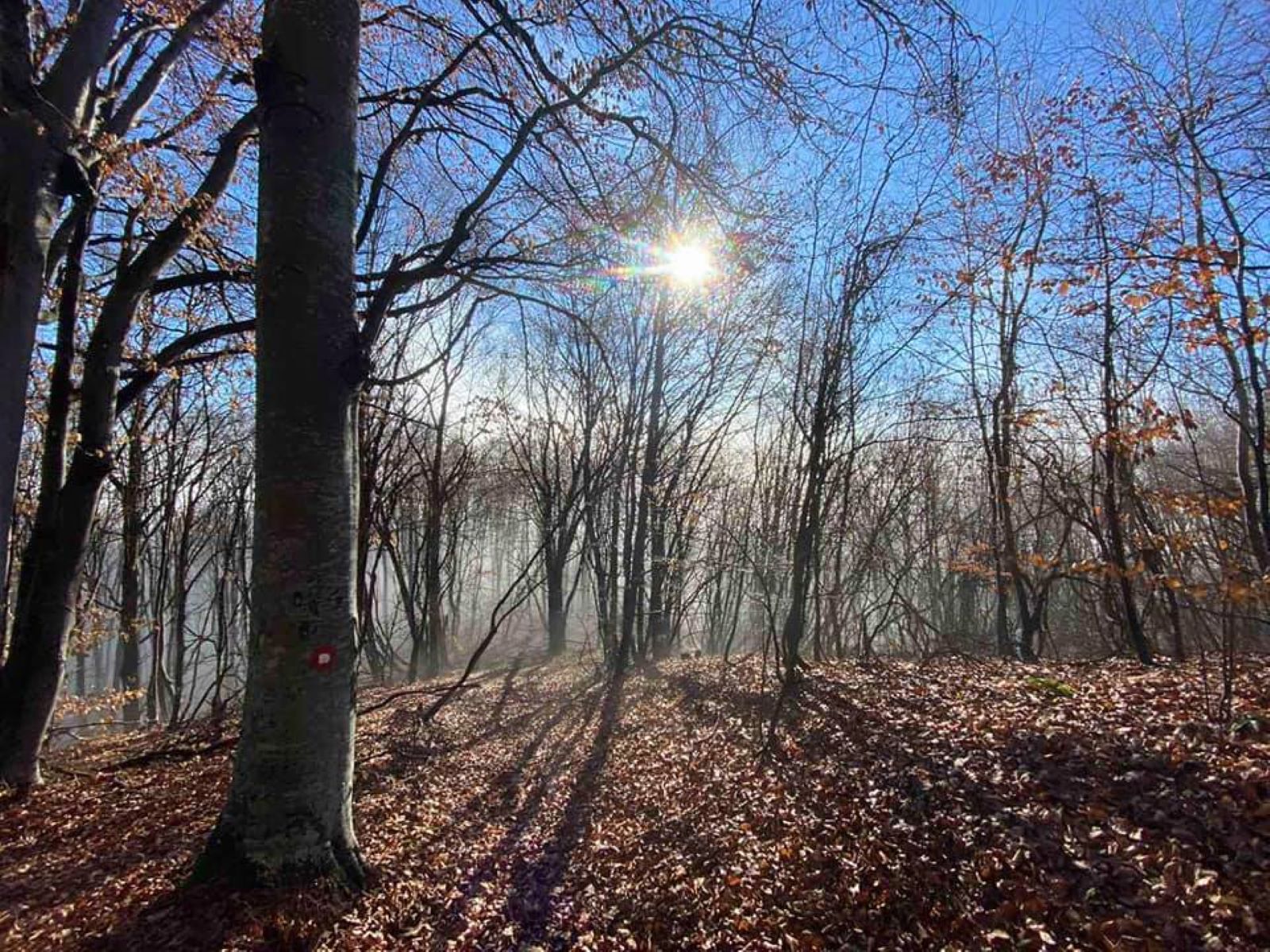 slavonia_hiking_trail_2.jpg