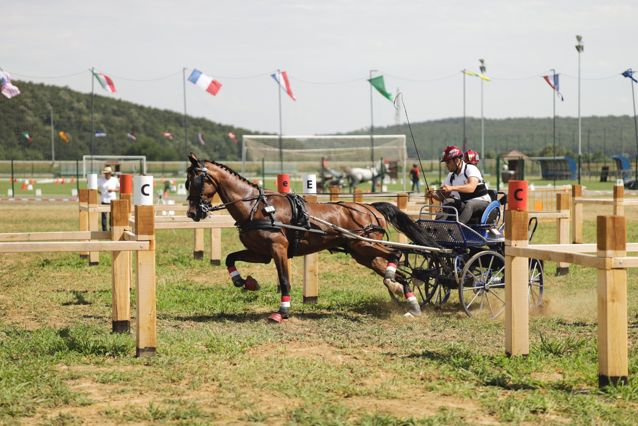 Pleternica equestrian tournament 2022