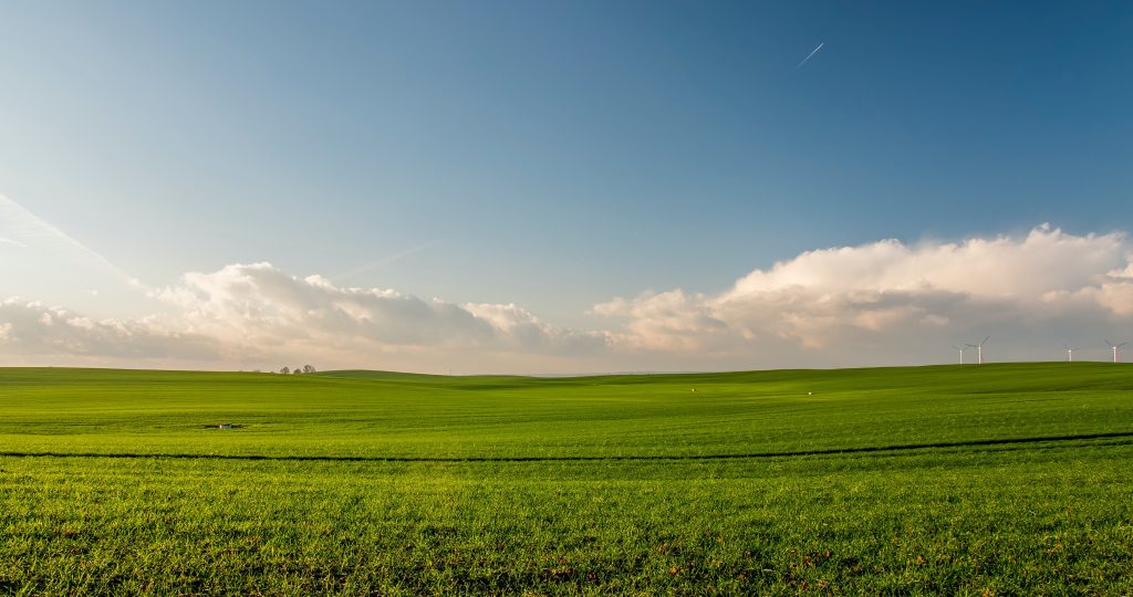 agricultural land in croatia - image of a field