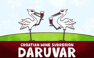 Featured image of Croatian wine subregion Daruvar